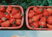 U8国际-JackeyLove新星精彩发挥表现惊艳，MAD未来可期！的简单介绍