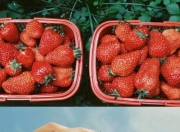 U8国际-JackeyLove新星精彩发挥表现惊艳，MAD未来可期！的简单介绍