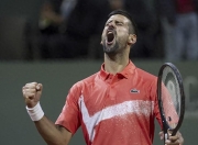 U8-关于德约科维奇爆冷击败皇家马德里，败北引爆全场！的信息